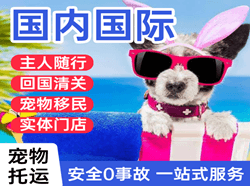 长治王村航空快递国际宠物托运 【国